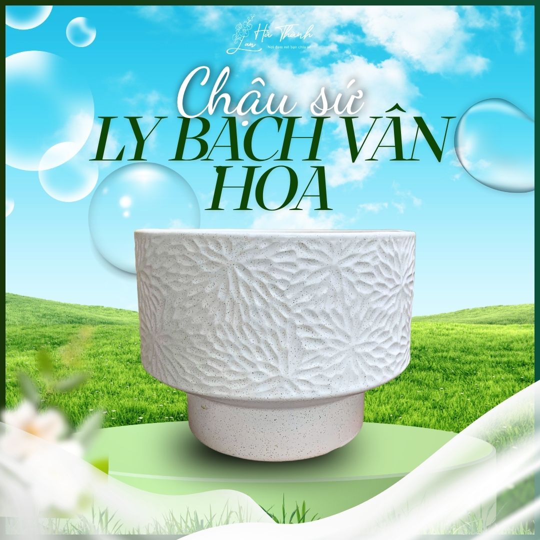 Chậu Sứ Ly Bạch Vân Hoa